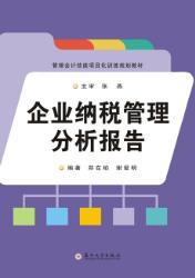 企业纳税管理分析报告