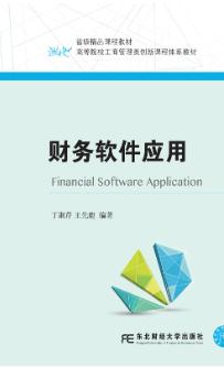 财务软件应用
