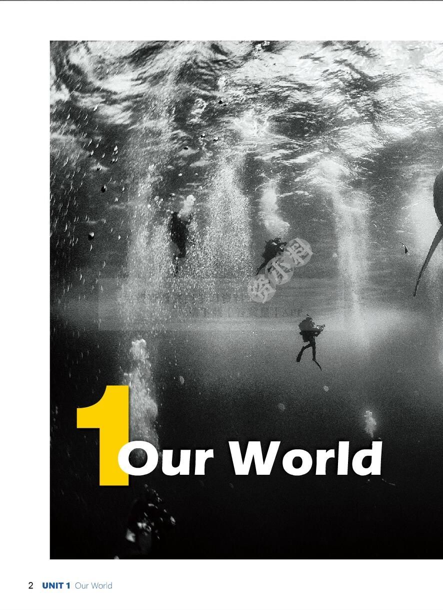 新世纪大学英语（第四版）视听说教程 第4册