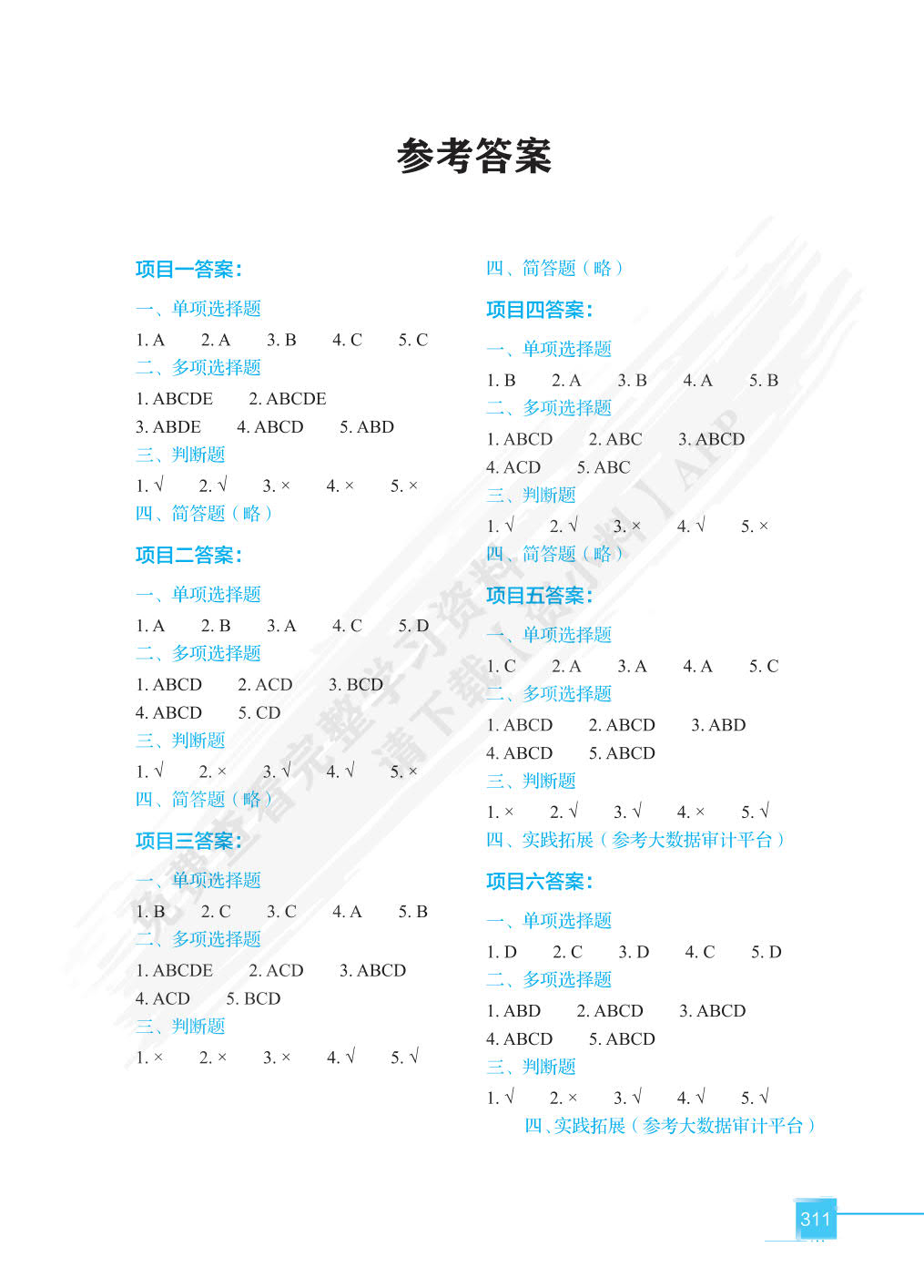 大数据审计技术