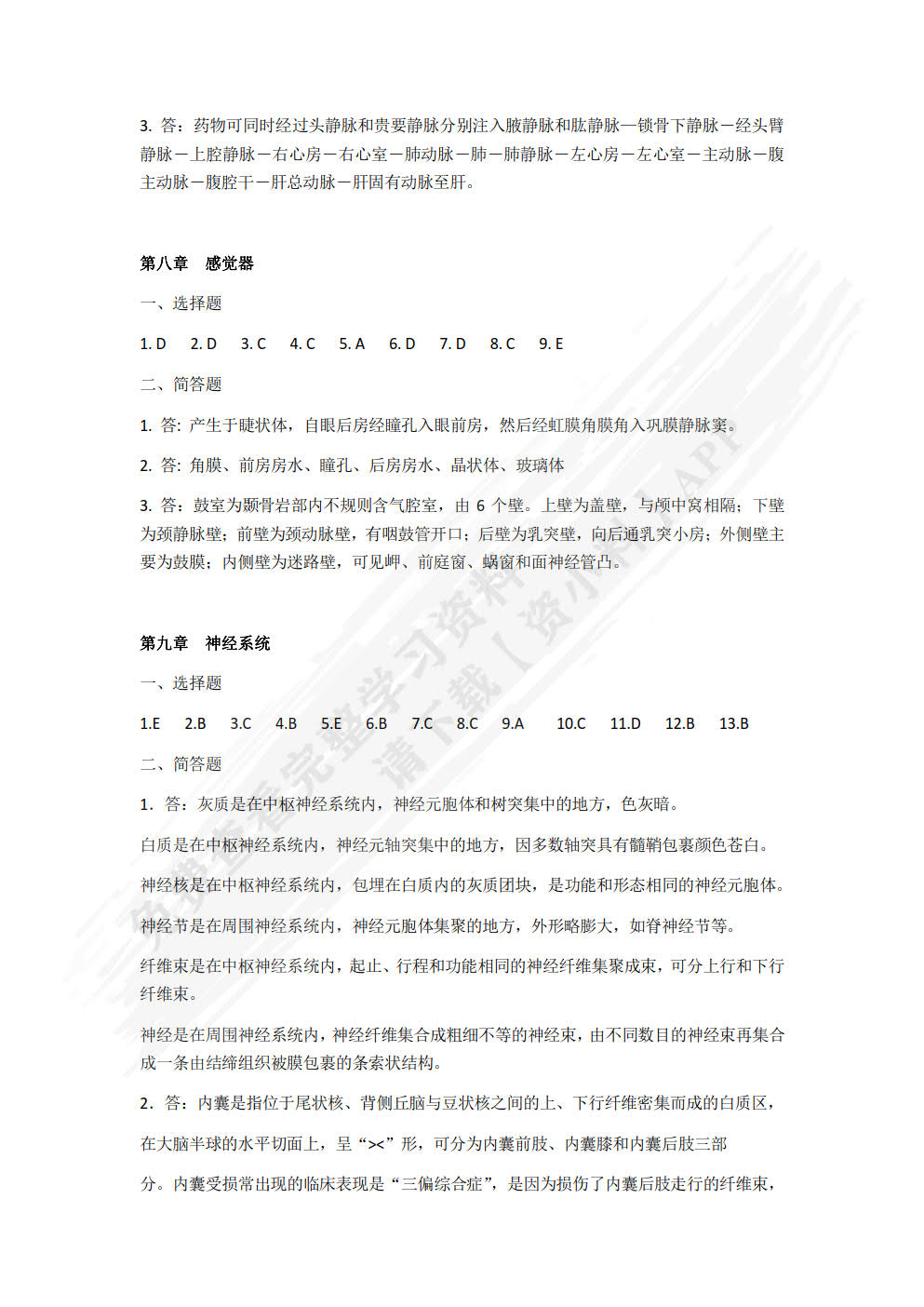 人体解剖学