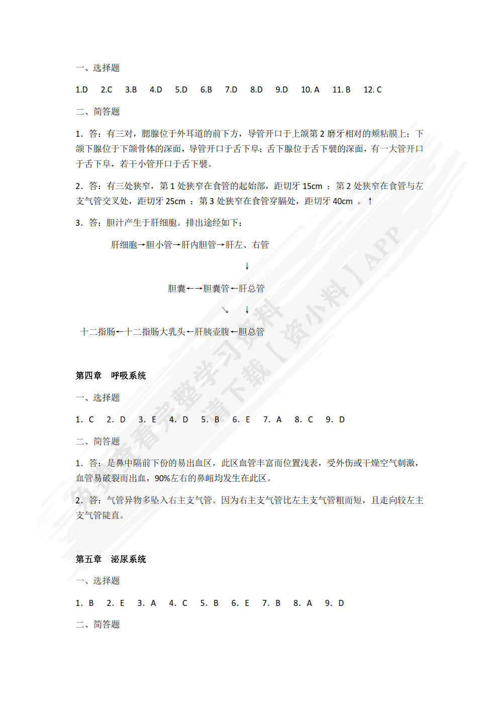 人体解剖学