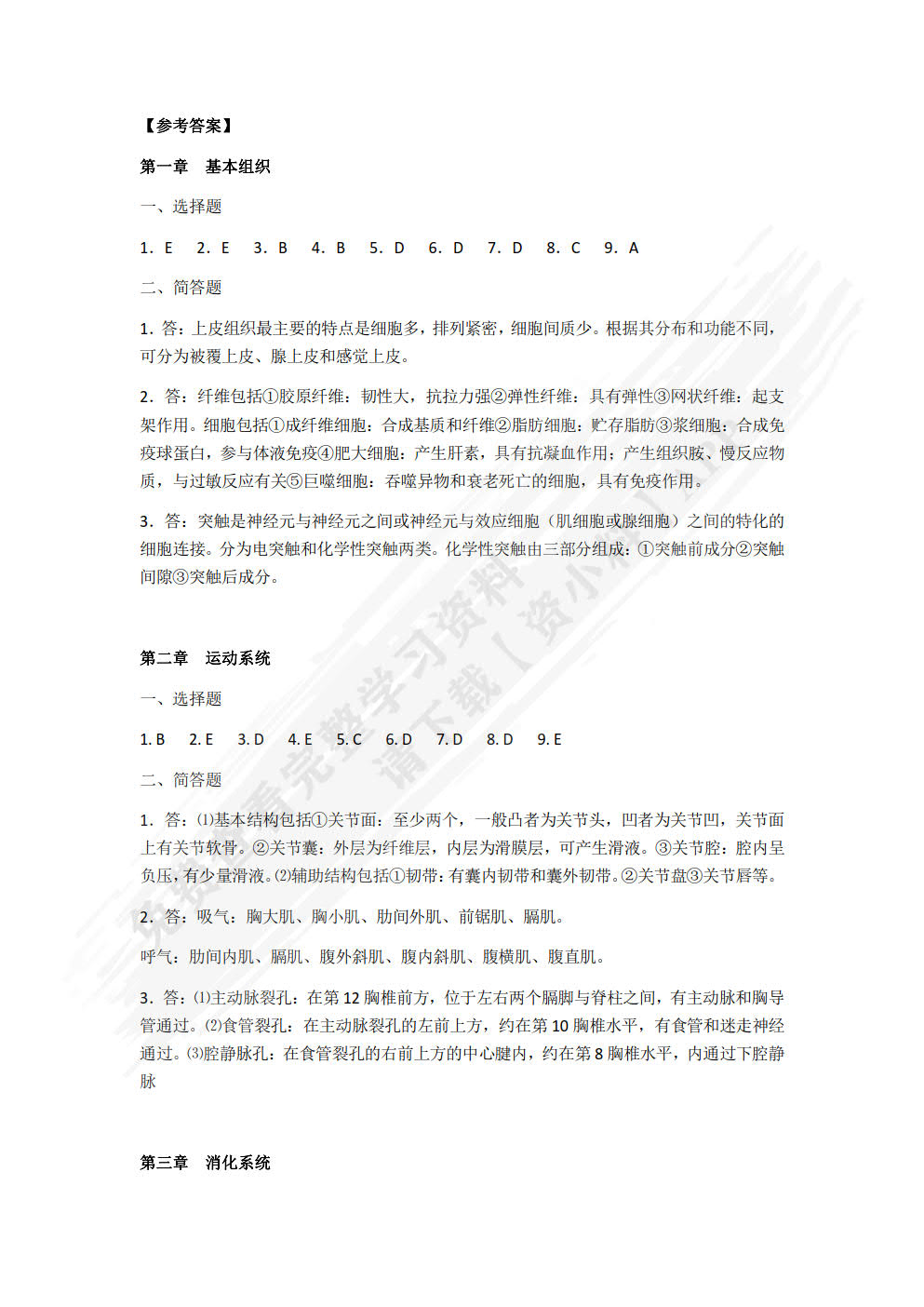 人体解剖学