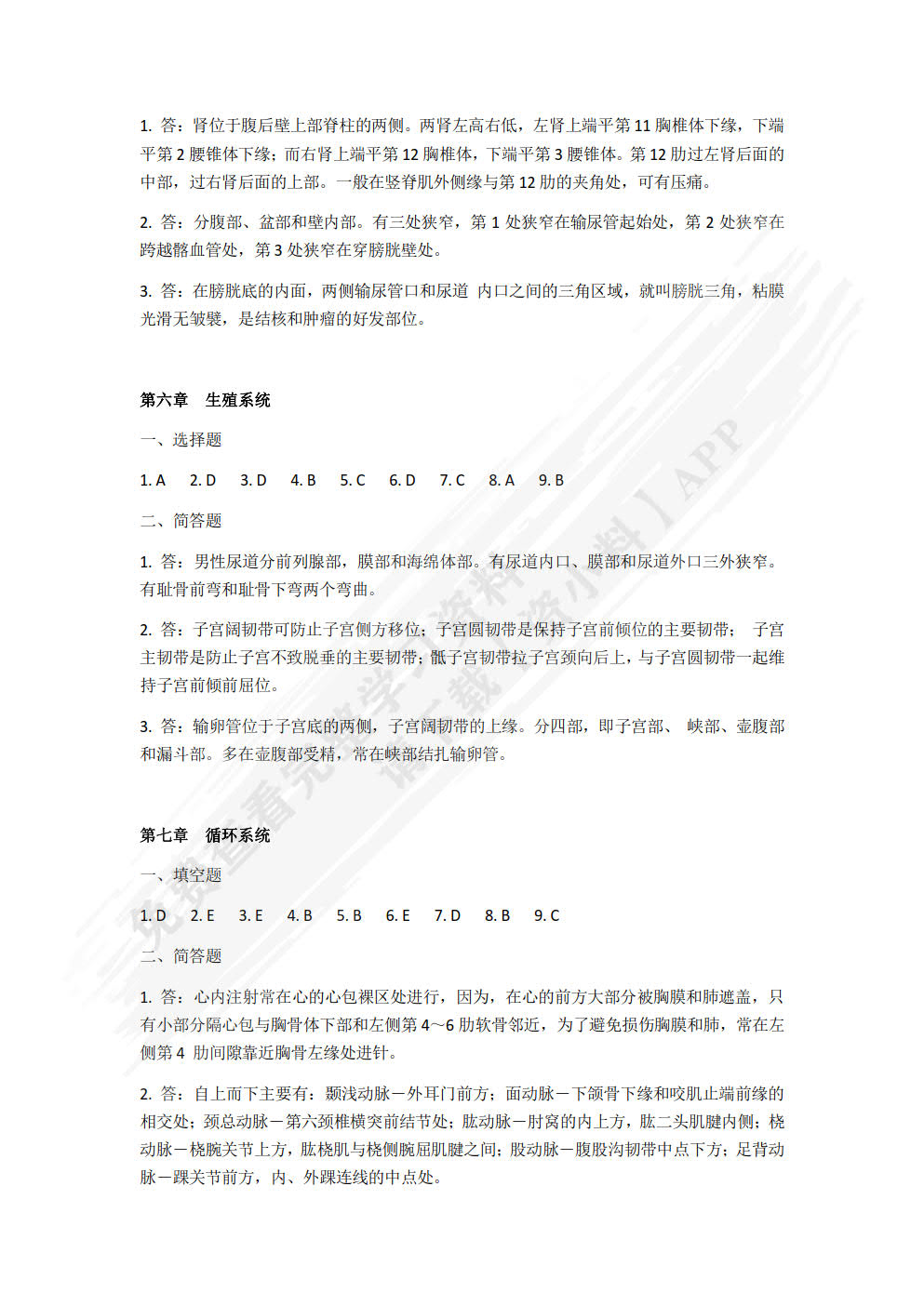 人体解剖学
