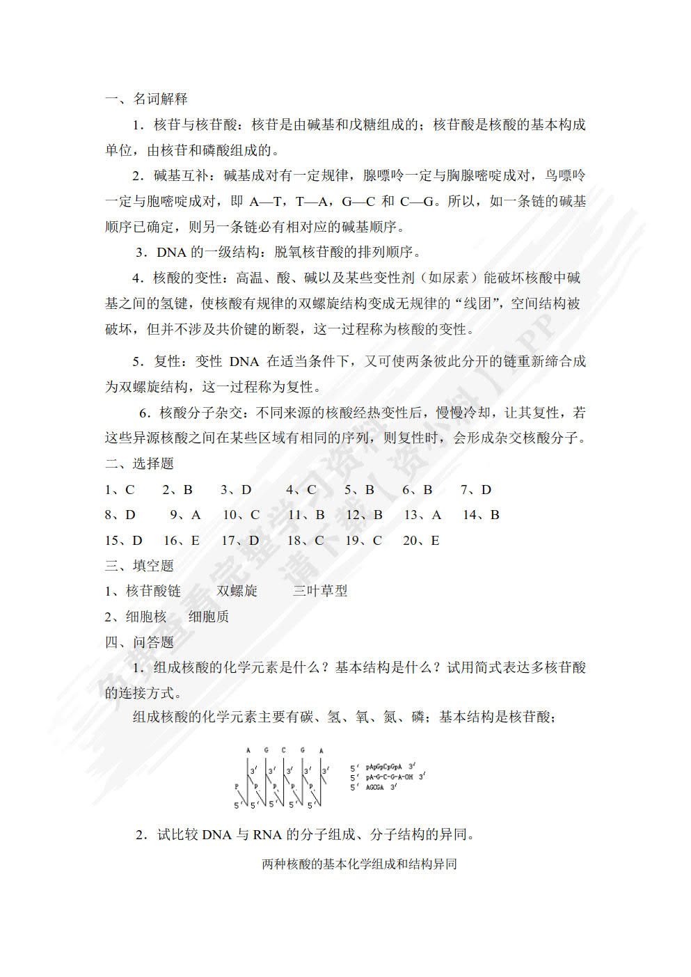 生物化学（第二版）