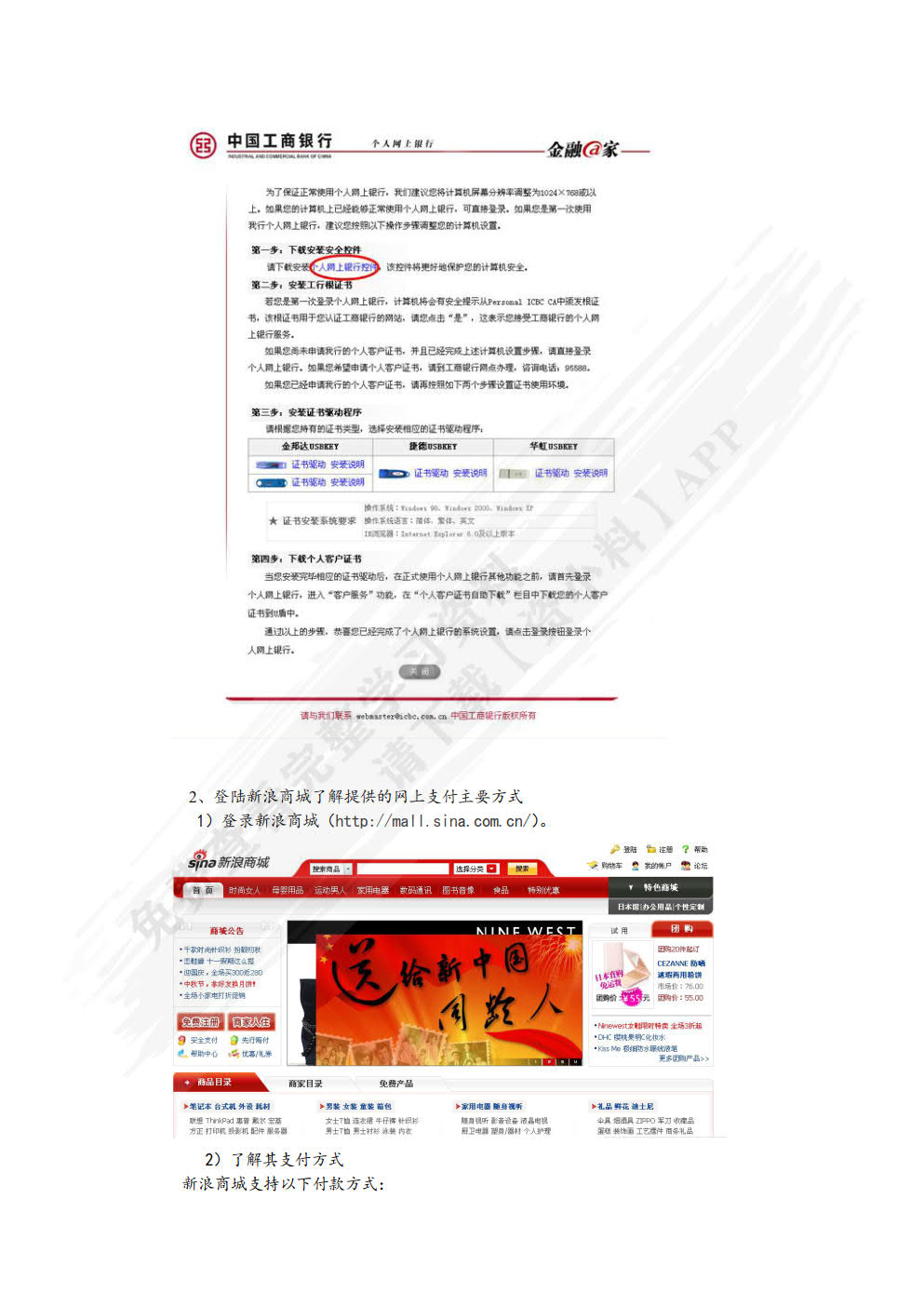 网上支付与结算（第四版）