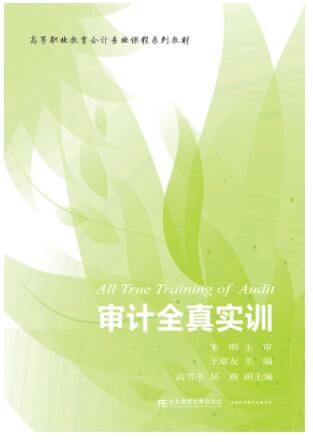 审计全真实训