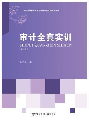 审计全真实训（第三版）