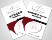 会计综合实训（视频指导版）