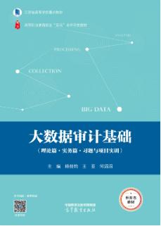 大数据审计基础