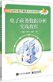 电子商务数据分析实践教程