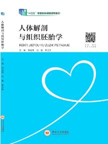 人体解剖与组织胚胎学