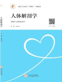 人体解剖学