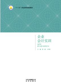 企业会计实训