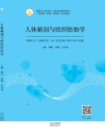 人体解剖与组织胚胎学