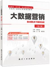 大数据营销(第2版)