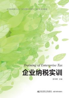 企业纳税实训