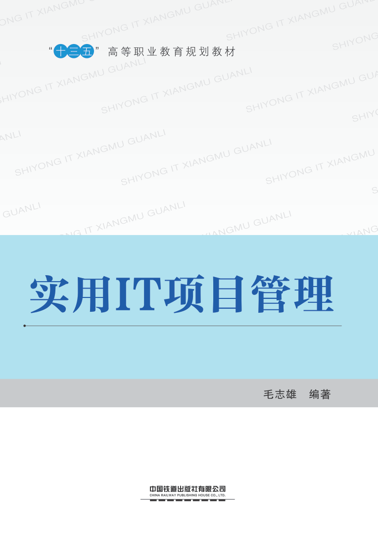实用IT项目管理